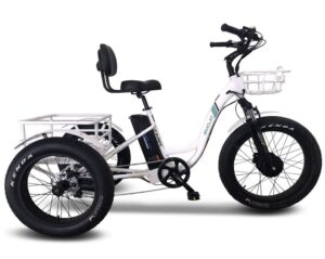 Emojo Electric Tricycle/Fat Tire Caddy Pro Trike