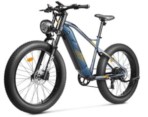 FREESKY Fat Tire Electric Bicycles